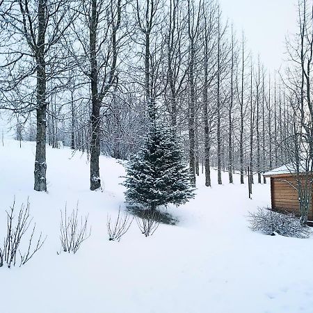 Laekjarbakki 11 Apartment Вармахлид Екстериор снимка